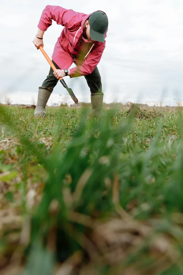 A person in a red jacket using a spade to cultivate a grassy field outdoors in spring.